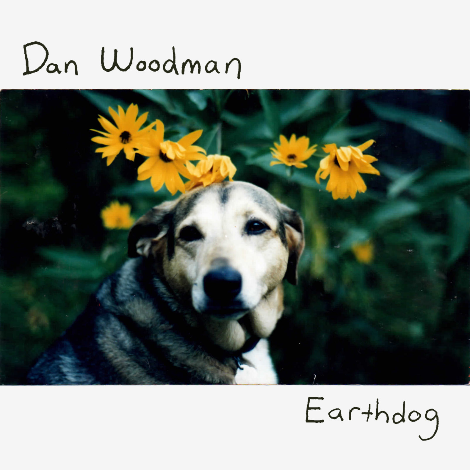 Dan Woodman - Earthdog - album cover